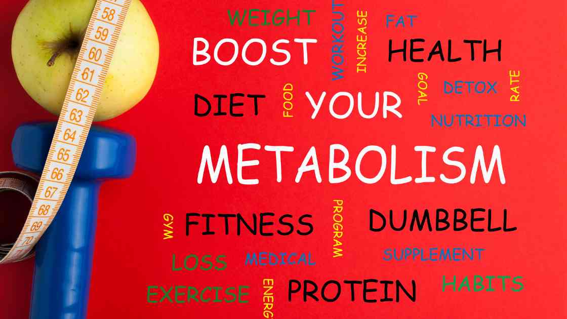 Metabolism enhancement program